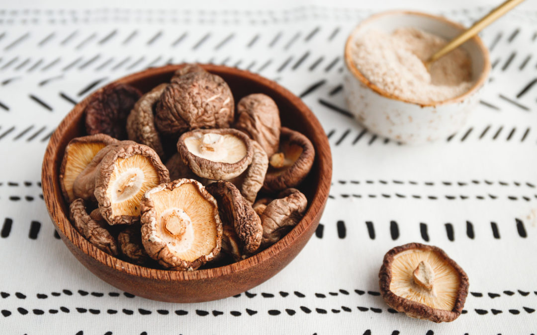 The Link Between Medicinal Mushrooms and Your Immune System